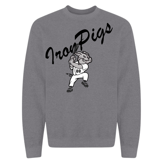 IronPigs BB Pig