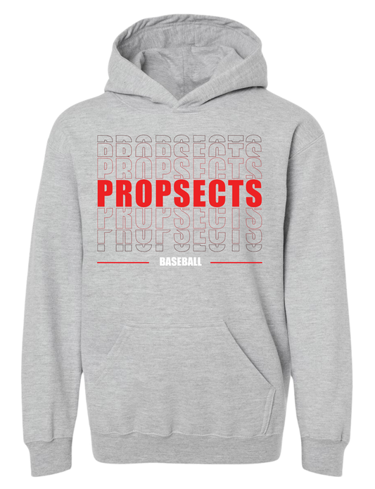 Youth Hoodie Prospects Baseball 3D (3 Color Options)